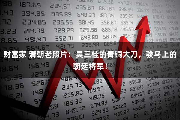 财富家 清朝老照片：吴三桂的青铜大刀，骏马上的朝廷将军！